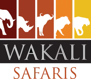 Wakali Safaris