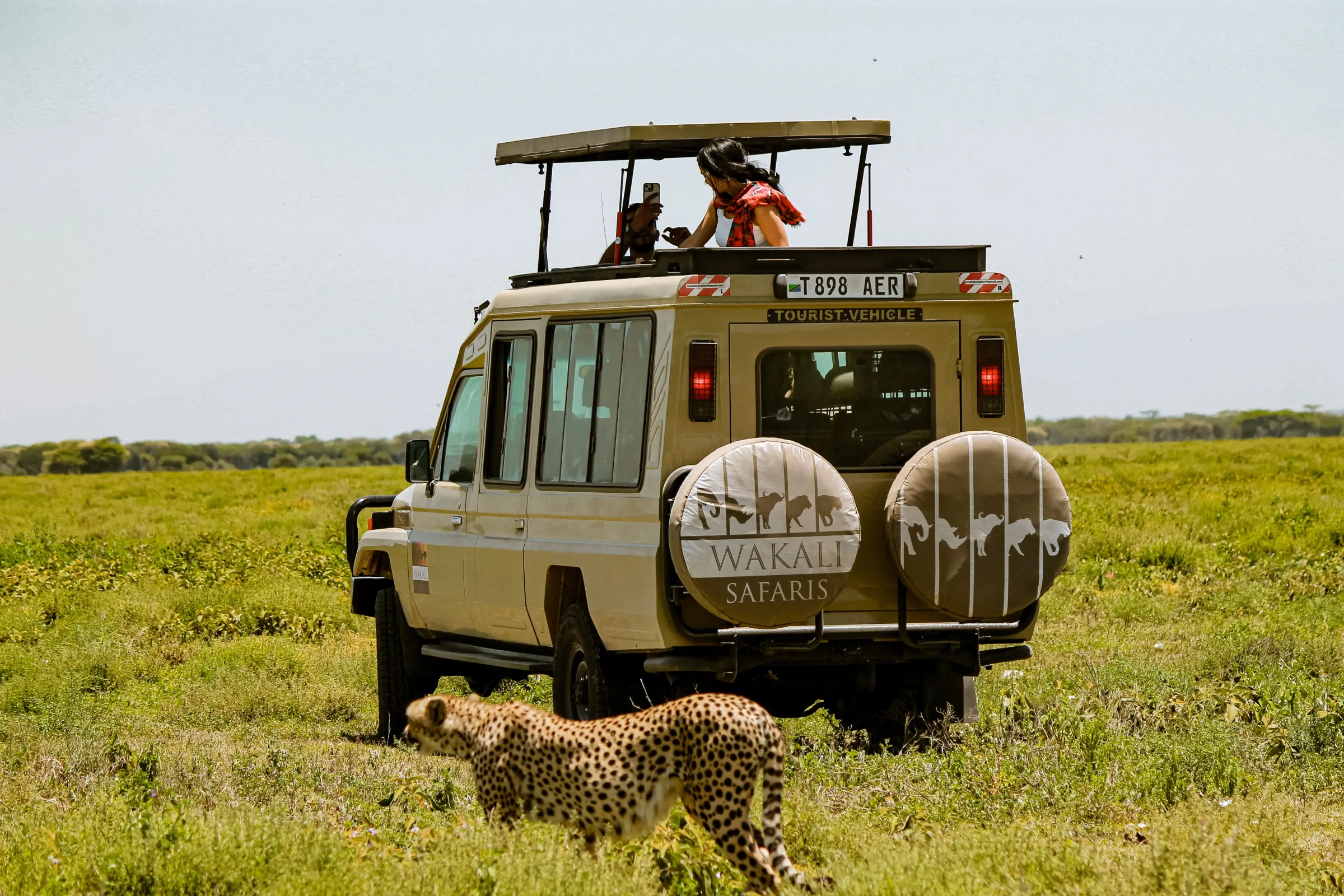Wakali Safaris guests on a game drive with a cheetah nearby