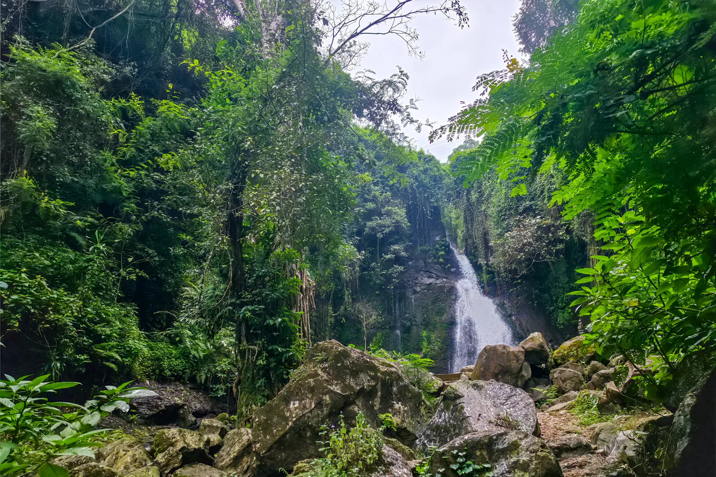 7-Day Kilimanjaro Climb, Machame Route photo 4