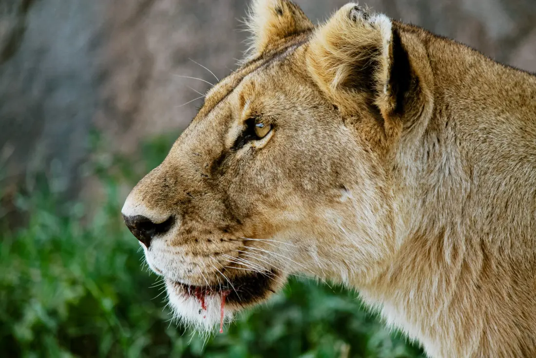 Arusha National Park
