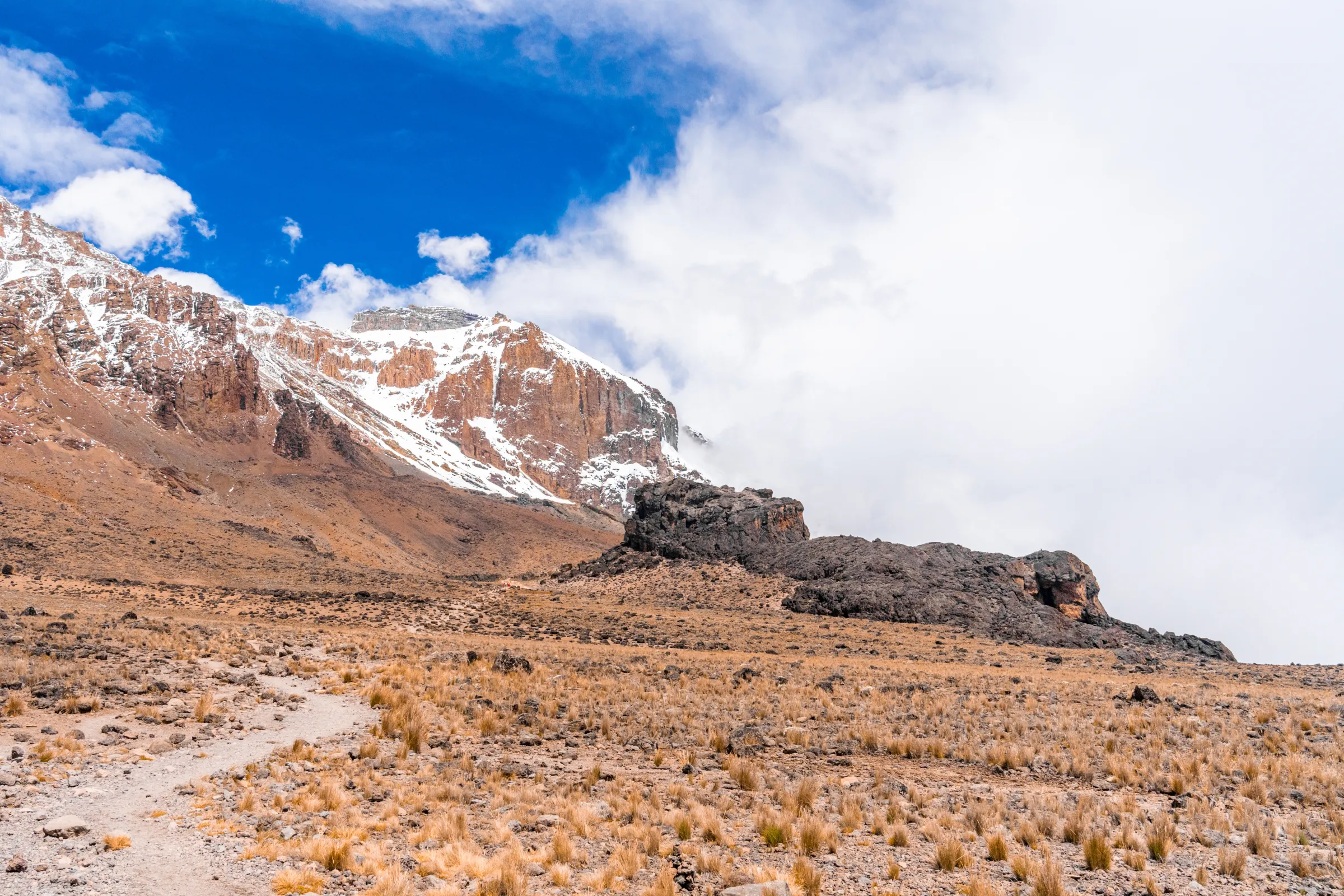 8-Day Kilimanjaro Climb, Lemosho Route